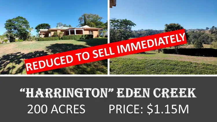 Main view of Homely rural property listing, 979 Afterlee Road, Kyogle NSW 2474