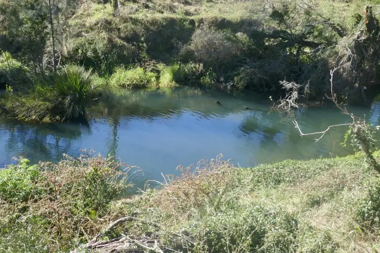 Fifth view of Homely rural property listing, 979 Afterlee Road, Kyogle NSW 2474