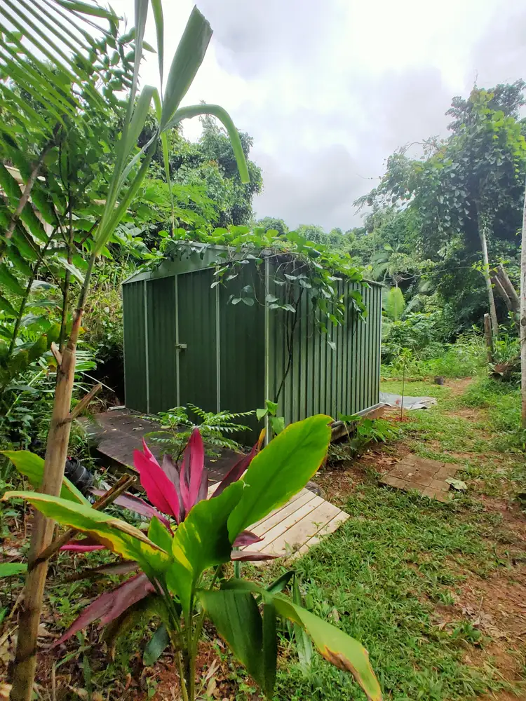 Sixth view of Homely house listing, 4 Plumb St, Bingil Bay QLD 4852