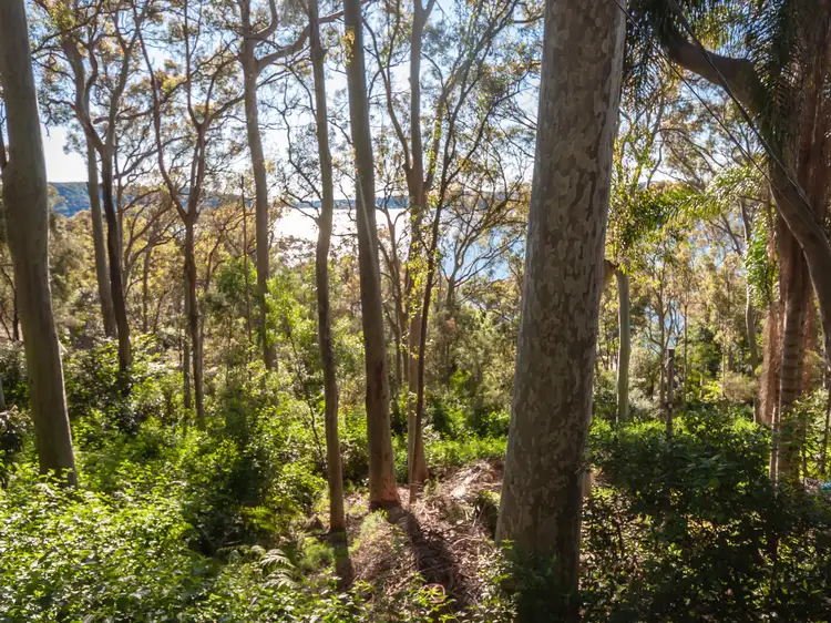 Main view of Homely land listing, 17 Thompson St, Scotland Island NSW 2105