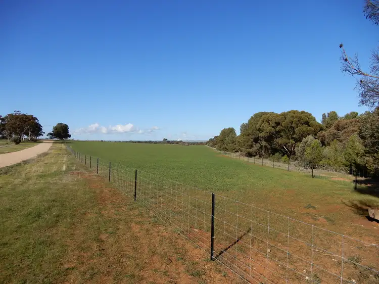 Third view of Homely land listing, Section 295 Laura-Caltowie Rd, Caltowie SA 5490
