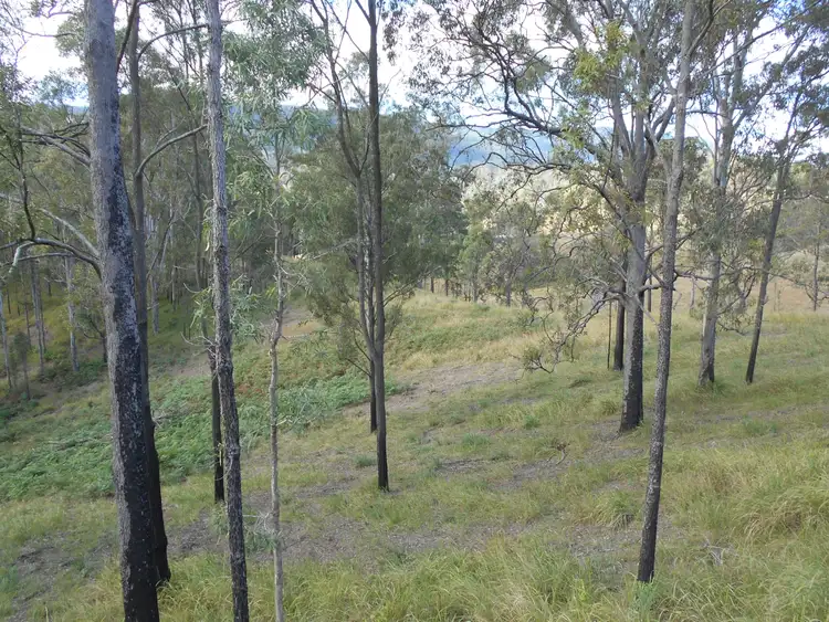 Seventh view of Homely rural property listing, Cedarvale Road, Sandy Creek QLD 4515