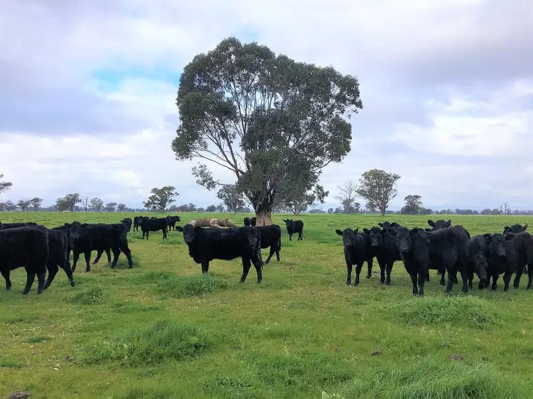 . Schnaars Road, Culcairn NSW 2660