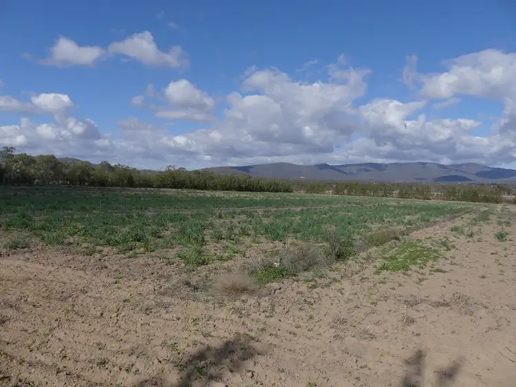 Fifth view of Homely rural property listing, 89 Days Rd, Ballandean QLD 4382