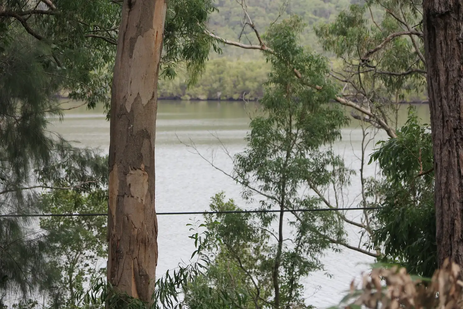 Main view of Homely land listing, 4926 Wisemans Ferry Rd, Spencer NSW 2775