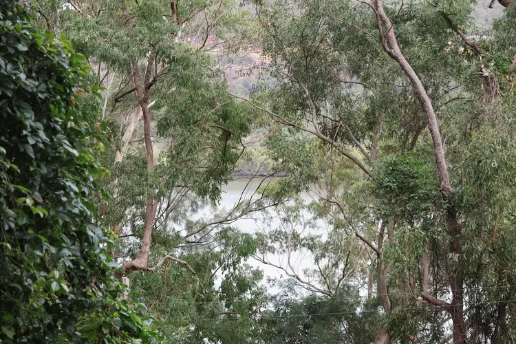 Fourth view of Homely land listing, 4926 Wisemans Ferry Rd, Spencer NSW 2775