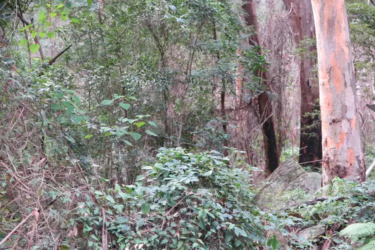 Fifth view of Homely land listing, 4926 Wisemans Ferry Rd, Spencer NSW 2775