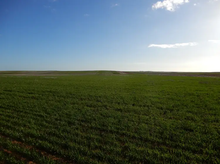 1324A Mundoora Rd, Mundoora SA 5555