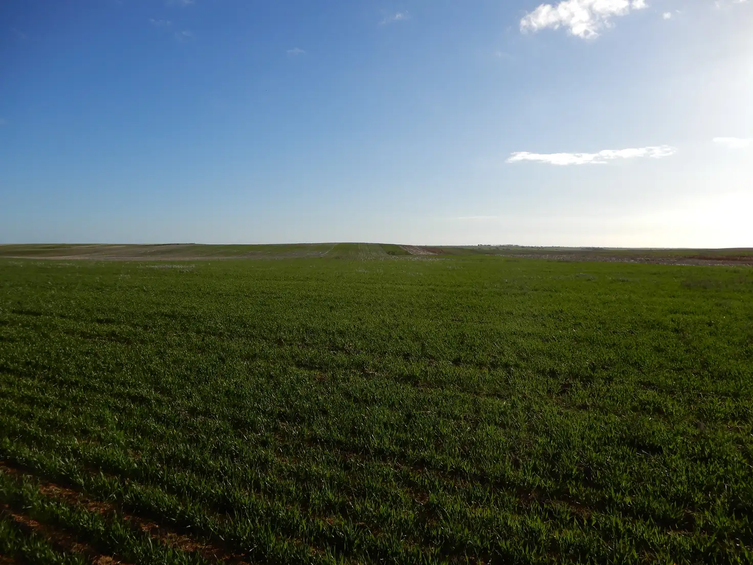 Main view of Homely rural property listing, 1324A Mundoora Rd, Mundoora SA 5555