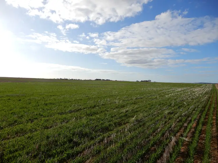 Second view of Homely rural property listing, 1324A Mundoora Rd, Mundoora SA 5555
