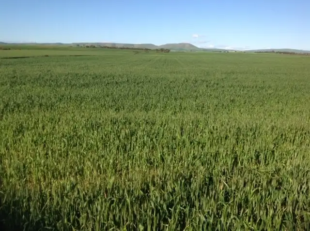 Third view of Homely rural property listing, 1324A Mundoora Rd, Mundoora SA 5555