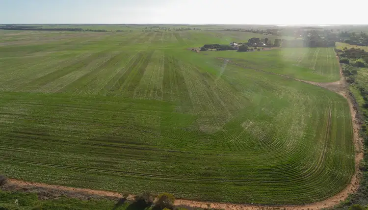 Fourth view of Homely rural property listing, 1324A Mundoora Rd, Mundoora SA 5555