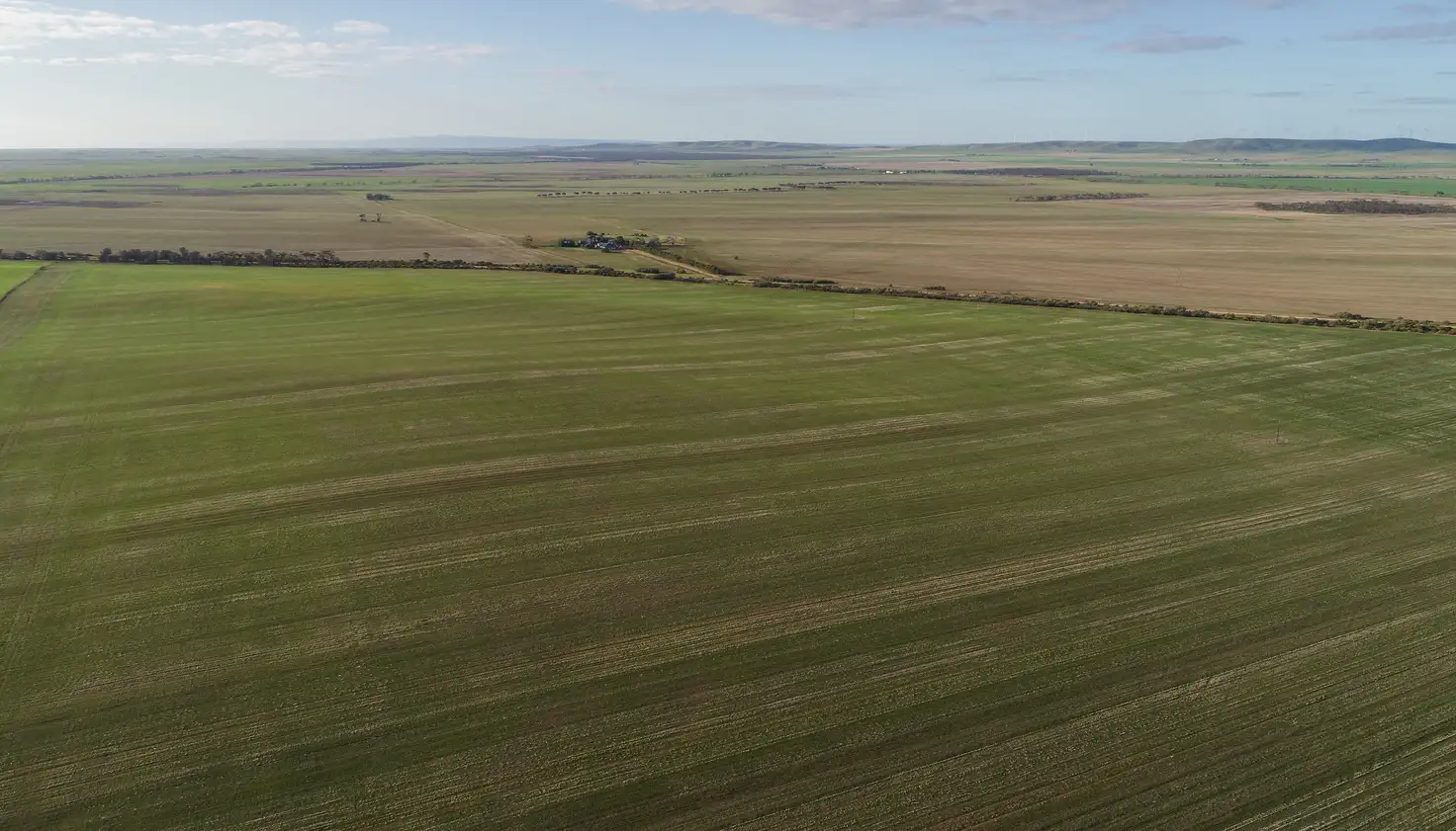 Main view of Homely rural property listing, Allotment 468 Oaklands Rd, Mundoora SA 5555