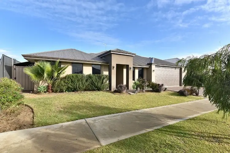 7 Viminea Street, Carramar WA 6031