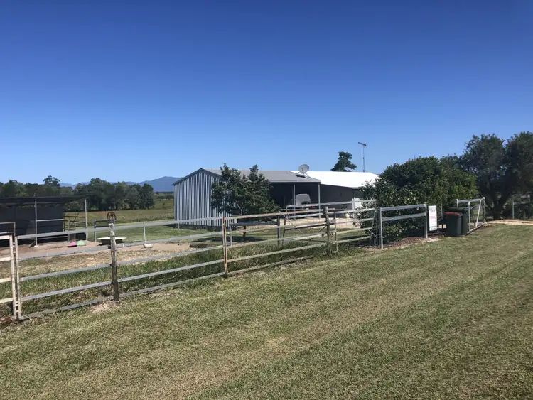 Second view of Homely house listing, 37 Sandy Creek Rd, Tully QLD 4854