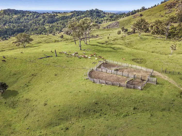 Third view of Homely rural property listing, Lot 3 Ensbey Road, Bald Knob QLD 4552