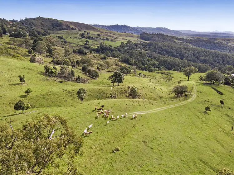 Fourth view of Homely rural property listing, Lot 3 Ensbey Road, Bald Knob QLD 4552
