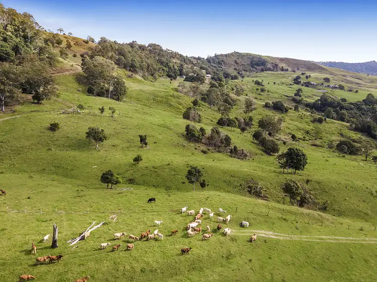 Fifth view of Homely rural property listing, Lot 3 Ensbey Road, Bald Knob QLD 4552