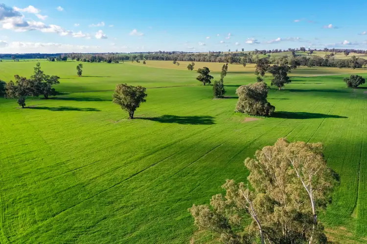 Main view of Homely rural property listing, 'Truro'/780 Spurrells Rd, Pleasant Hills NSW 2658