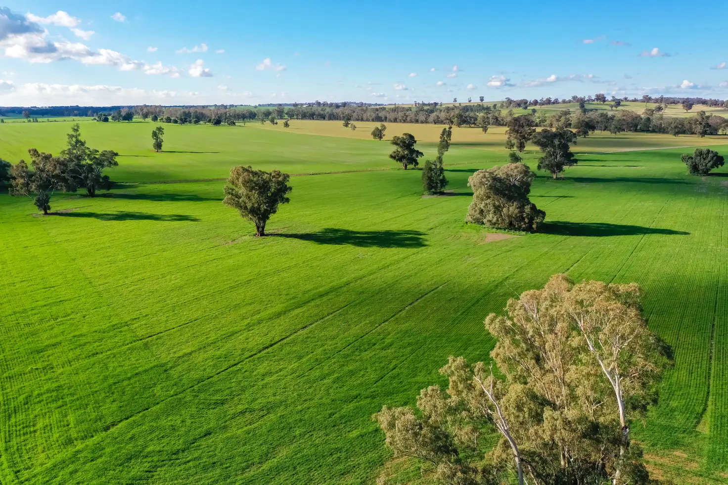 Main view of Homely rural property listing, 'Truro'/780 Spurrells Rd, Pleasant Hills NSW 2658