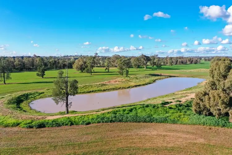Fourth view of Homely rural property listing, 'Truro'/780 Spurrells Rd, Pleasant Hills NSW 2658
