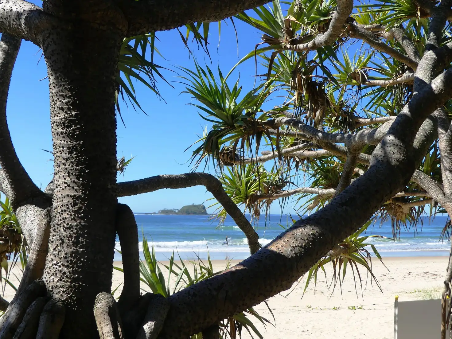 Main view of Homely house listing, 12 Mudjimba Beach Road, Mudjimba QLD 4564