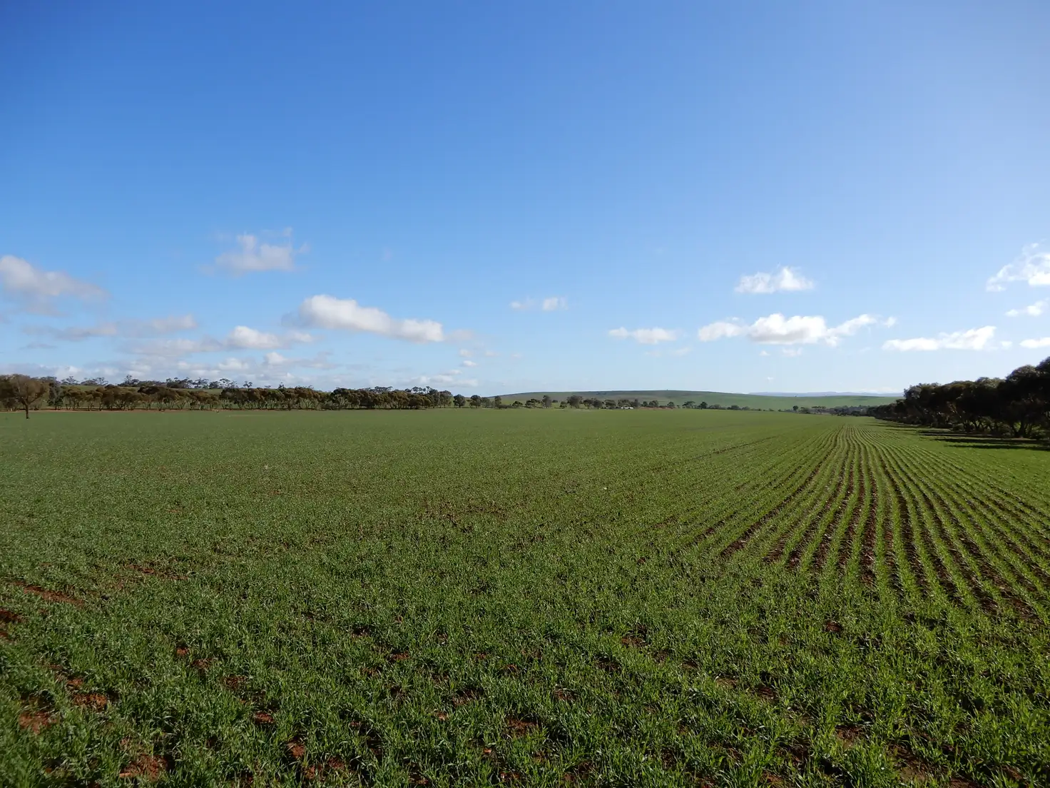 Main view of Homely rural property listing, Allotments 2 & 4 Powerline Road, Gladstone SA 5473