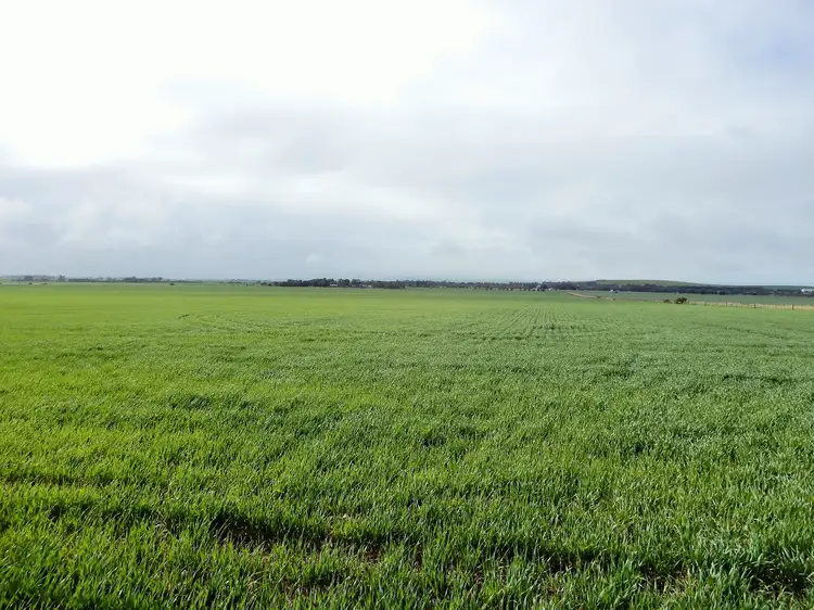 Third view of Homely rural property listing, * Floppers Track, Redhill SA 5521