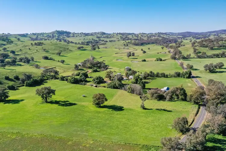 'Golden Valley'/782 Bungowannah Road, Jindera NSW 2642