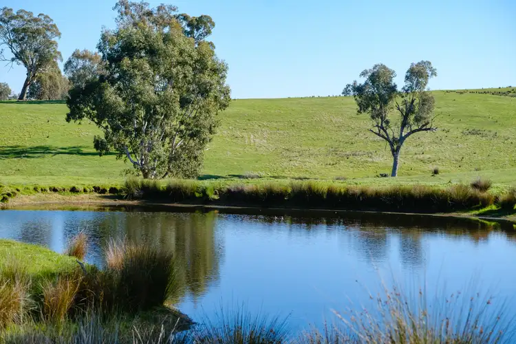 Fourth view of Homely rural property listing, 'Golden Valley'/782 Bungowannah Road, Jindera NSW 2642