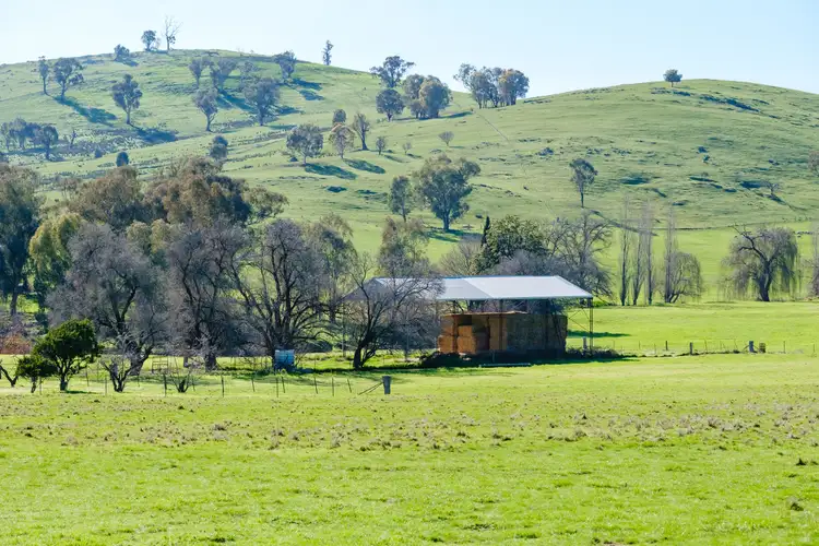 Fifth view of Homely rural property listing, 'Golden Valley'/782 Bungowannah Road, Jindera NSW 2642