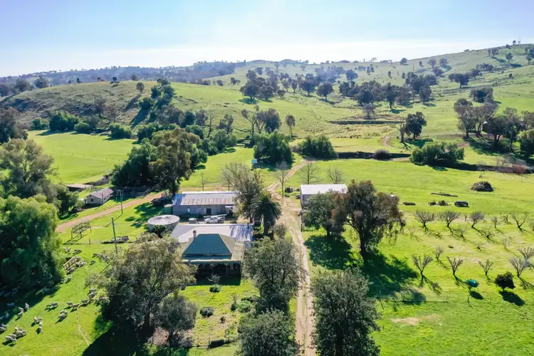 Sixth view of Homely rural property listing, 'Golden Valley'/782 Bungowannah Road, Jindera NSW 2642