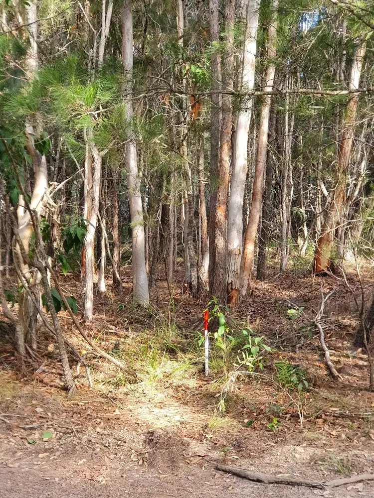 Third view of Homely land listing, 38 Rampart Drive, Russell Island QLD 4184