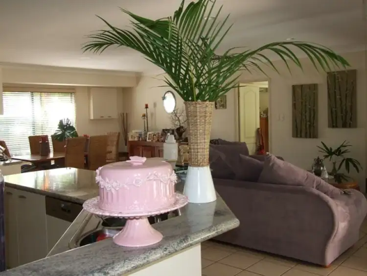 Fourth view of Homely house listing, 14 Sassifras Street, Mudjimba QLD 4564