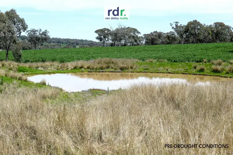 Third view of Homely rural property listing, 884 Glenesk Road, Delungra NSW 2403