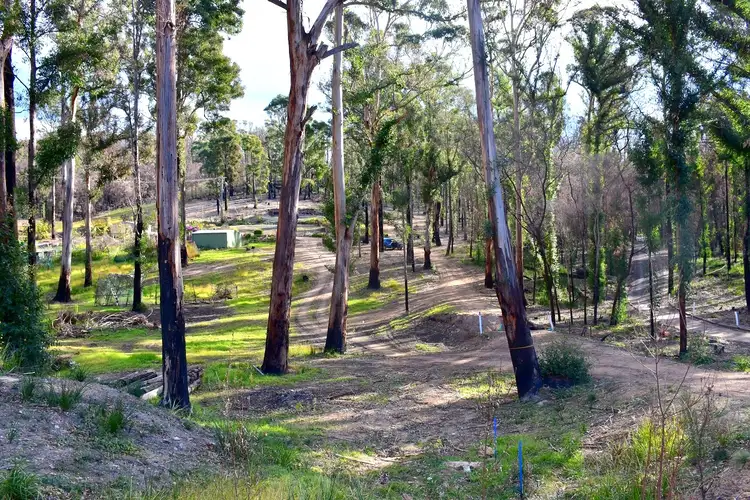 38 Yarran Rd BOYDTOWN Via, Eden NSW 2551