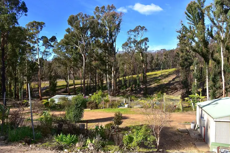 Second view of Homely rural property listing, 38 Yarran Rd BOYDTOWN Via, Eden NSW 2551