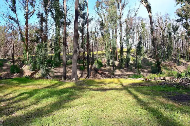 Third view of Homely rural property listing, 38 Yarran Rd BOYDTOWN Via, Eden NSW 2551