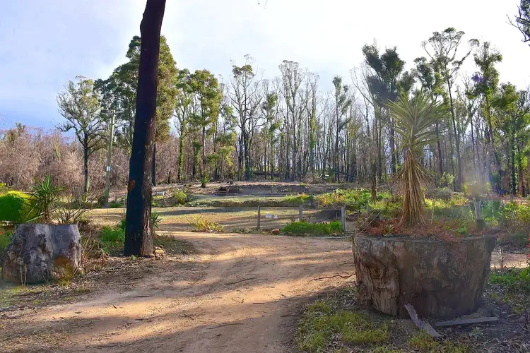 Fifth view of Homely rural property listing, 38 Yarran Rd BOYDTOWN Via, Eden NSW 2551
