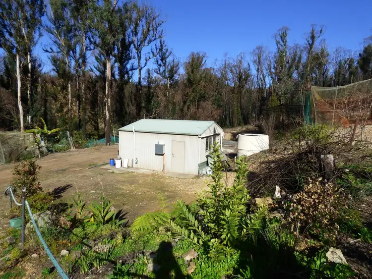 Sixth view of Homely rural property listing, 38 Yarran Rd BOYDTOWN Via, Eden NSW 2551
