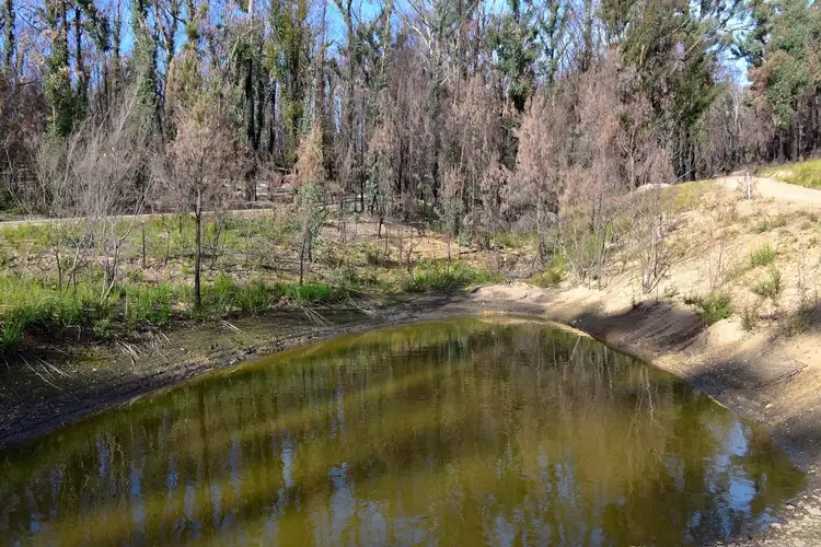 Seventh view of Homely rural property listing, 38 Yarran Rd BOYDTOWN Via, Eden NSW 2551