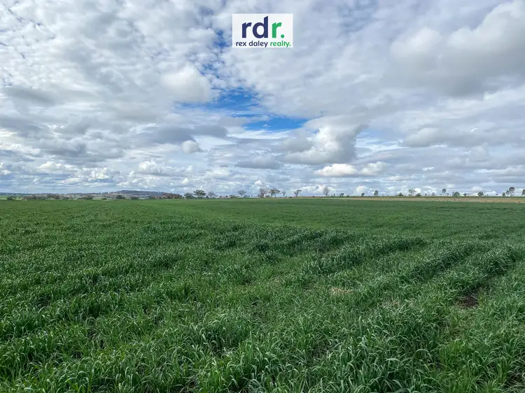 Main view of Homely rural property listing, 9421 Gwydir Highway, Inverell NSW 2360