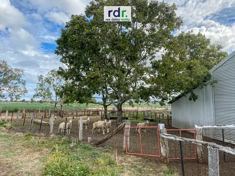 Seventh view of Homely rural property listing, 9421 Gwydir Highway, Inverell NSW 2360