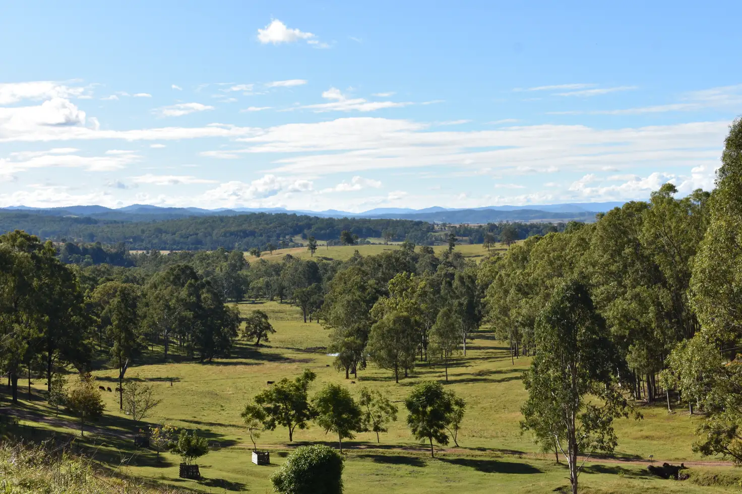 Main view of Homely land listing, 1217 Dyraaba Road, Kyogle NSW 2474