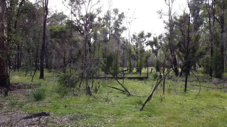 Lot 3 Putty Road, Putty NSW 2330
