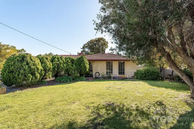 23 Cerberus Avenue, Parkwood WA 6147
