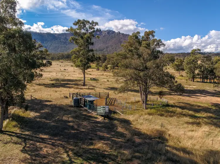 Fifth view of Homely rural property listing, 3989 Glen Alice Rd, Glen Alice NSW 2849