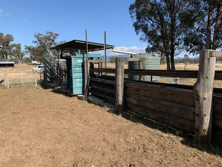 Sixth view of Homely rural property listing, 3989 Glen Alice Rd, Glen Alice NSW 2849