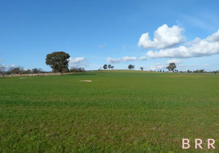 Third view of Homely rural property listing, 100 Moore Rd, Goorambat VIC 3725