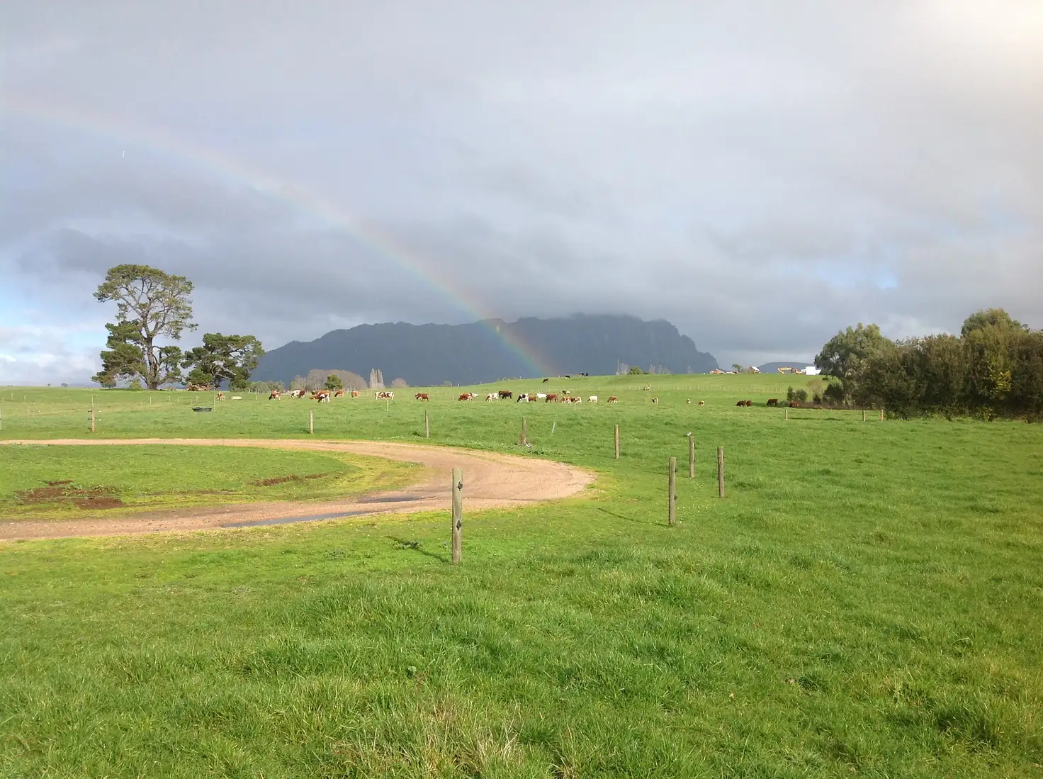 Main view of Homely rural property listing, 91 West Kentish Rd, Sheffield TAS 7306